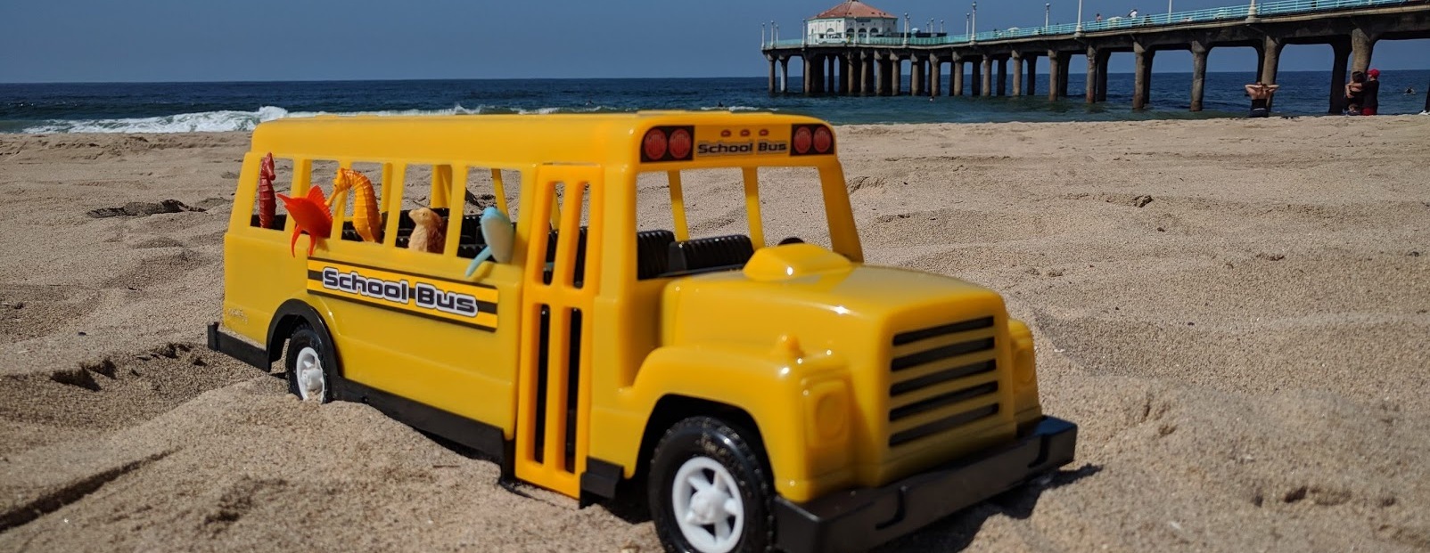 Roundhouse Aquarium 2022 Bus Campaign